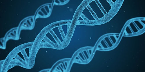 遺伝子解析の成果が医薬や農業だけでなく、さまざまな産業に生かされ始めた