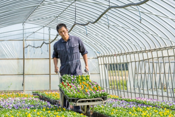 選手全員が農業で稼ぐハンドボールチーム 日経ビジネス電子版 選手全員が農業で稼ぐハンドボールチーム 日経ビジネス電子版