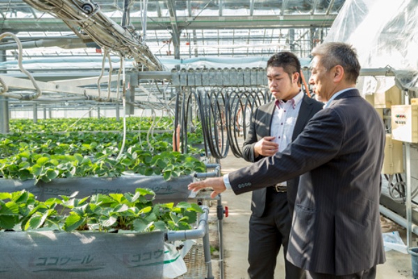 選手全員が農業で稼ぐハンドボールチーム 日経ビジネス電子版 選手全員が農業で稼ぐハンドボールチーム 日経ビジネス電子版