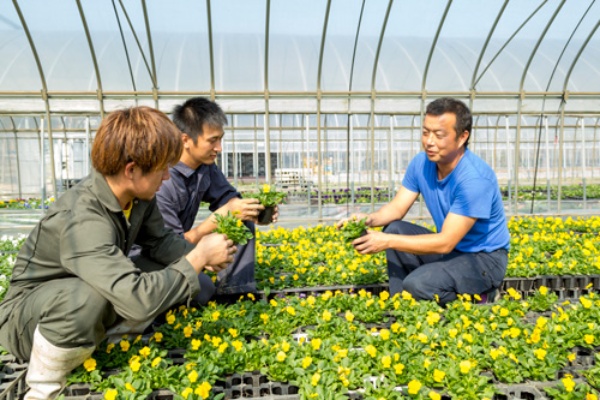 選手全員が農業で稼ぐハンドボールチーム 2ページ目 日経ビジネス電子版 選手全員が農業で稼ぐハンドボールチーム 2ページ目 日経ビジネス電子版