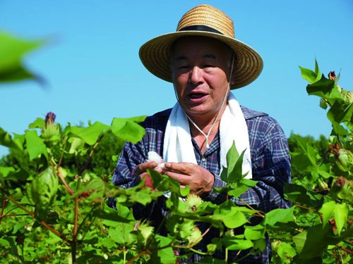 タビオでは2009年から靴下を編む糸の材料である綿の研究のため、奈良県広陵町で綿花の栽培に取り組む。毎年、綿花摘み大会を実施し、越智会長も参加する