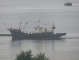 なぜ北朝鮮の漁船は日本のEEZで荒稼ぎを図るのか？	