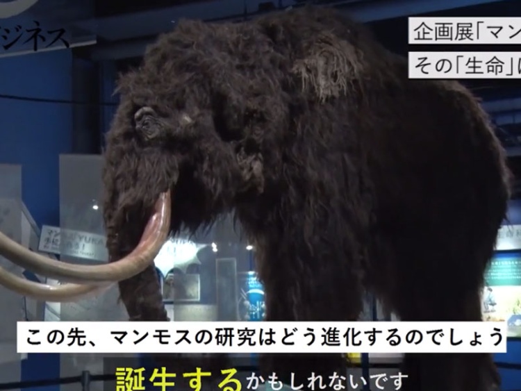 日経ビジネス電子版