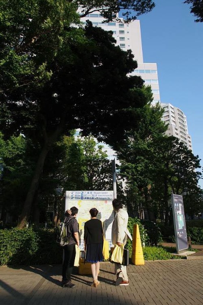 左から小田嶋さん、清野さん、岡さん(写真:柳瀬 博一)