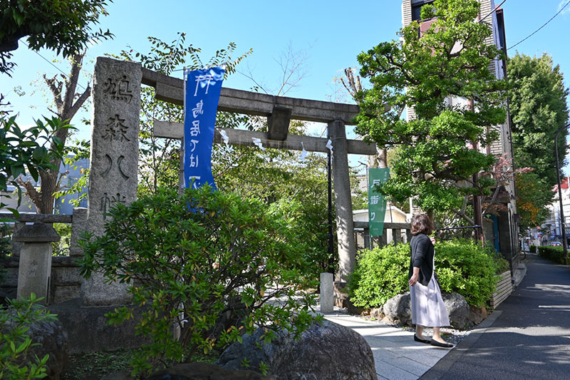 鳩森八幡神社の正面鳥居。観音坂を上るとここに出る