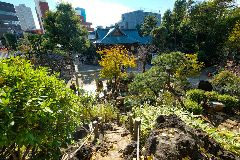 富士塚の山頂から鳩森八幡神社の社殿を見下ろす