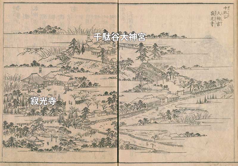 江戸名所図会に描かれた寂光寺と千駄谷大神宮。これを見ると当時の地形がうかがえる。千駄谷大神宮は少し高い場所にあったように見える。今はどちらも国立競技場の下だ。ちなみに本文で紹介した「お鷹の松」は図中文字「寂光寺」の右手あたりに「遊女松」として描かれている