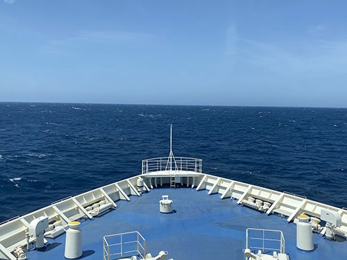 昨年就航したばかりの新造船は、2メートルの波をものともせず、時速50キロでガンガン進みます。自販機やレストランの価格がリーズナブルなのも嬉しい。帰りもフェリーにしよう。船旅は楽しいです。