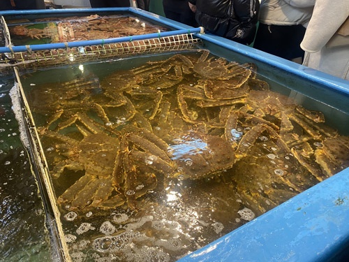 このタラバが1杯5万円ですと。観光地価格ですな。ま、こういうところでケチケチしても仕方がない。縁起物みたいなものですからおいしくいただきました。