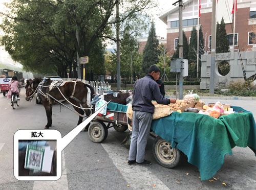馬車で殻付きクルミを販売する農民。当然モバイル決済にも対応している。（2018年10月、筆者撮影）