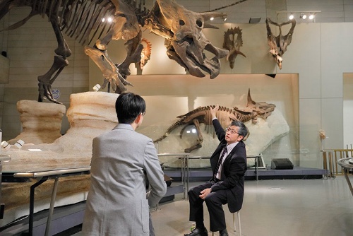 左上のトリケラトプスをはじめ、常設展にはさまざまな角竜の標本が展示されている。