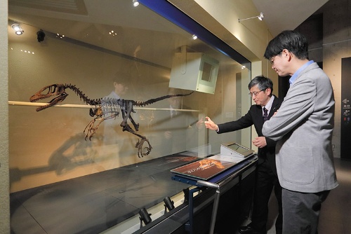 常設展示にもあるデイノニクスの全身骨格で生態を説明する真鍋さん。