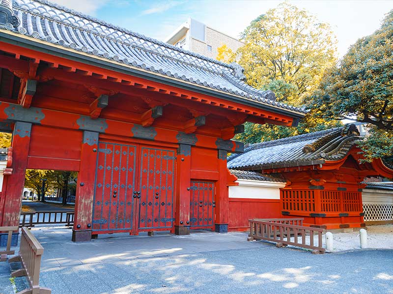 博士の価値、年収240万の絶望と「おじさん博士」爆増の光