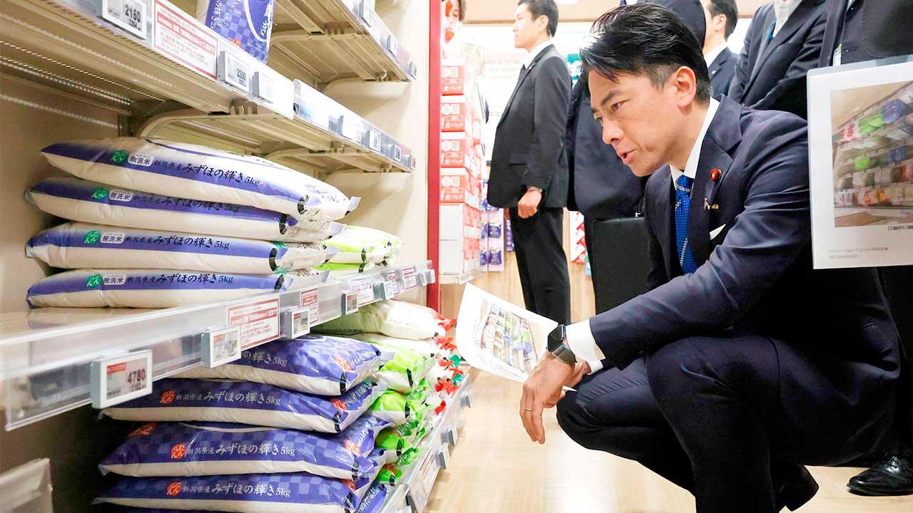 小泉農相の「コメ売り介入」が価格高騰解消の根本解決にならない理由