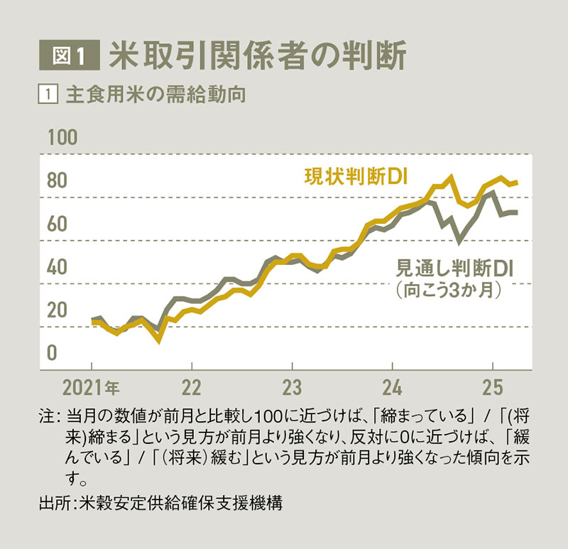 小泉農相の「コメ売り介入」が価格高騰解消の根本解決にならない理由