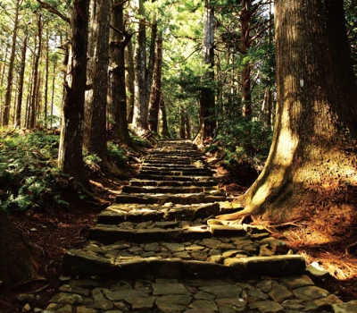 (写真/PIXTA)