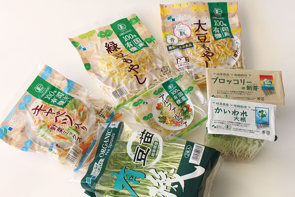 もやし製造大手サラダコスモ 値上げに頼らず44年連続黒字のわけ：日経