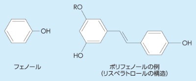 ポリフェノールは、フェノール（図の左側）が複数結合した化合物の総称だ。OH基が多い物質ほど抗酸化作用が強くなる