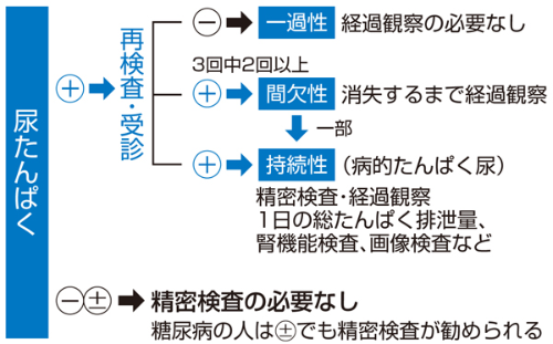 健診で尿たんぱく検出 腎臓が危ないケースは 日経ビジネス電子版