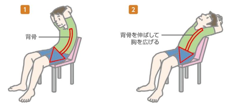 背骨を伸ばすストレッチ