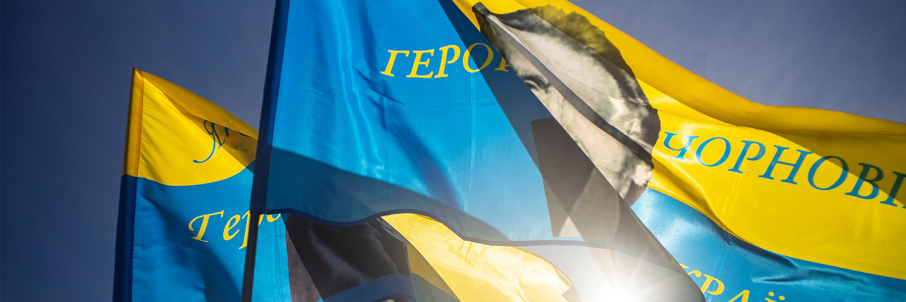 ウクライナ危機：日経ビジネス電子版